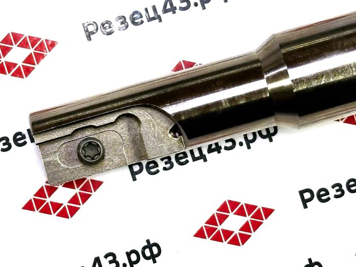 Резьбофреза концевая SR0021H21-D20-100L под сменную пластину