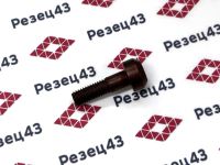 Винт М5х23 для крепления пластин