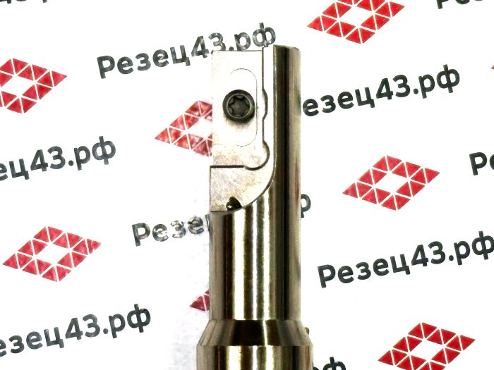 Резьбофреза концевая SR0021H21-D20-100L под сменную пластину