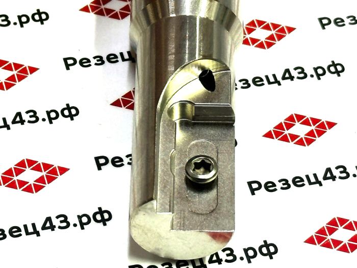 Резьбофреза концевая SR0029J30-D25-110L под сменную пластину
