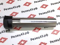 Цанговый патрон с цилиндрическим хвостовиком с лыской, диаметр 25 мм, для цанг ER20 (SL25-ER20-100)