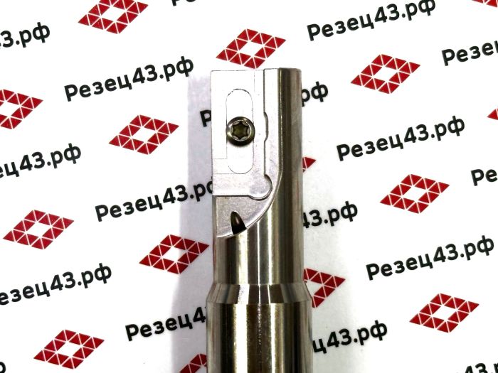 Резьбофреза концевая SR0029J30-D25-110L под сменную пластину