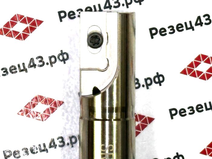Резьбофреза концевая SR0025K21-D20-125L под сменную пластину