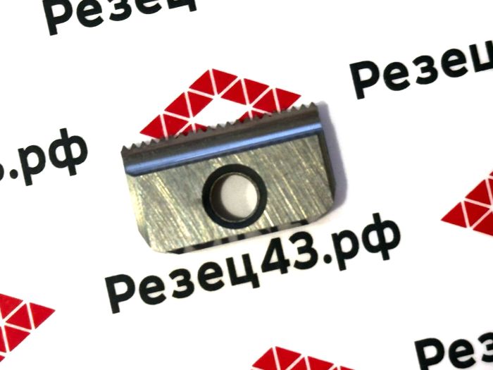 Пластина 21N 1.0ISO для резьбофрезы