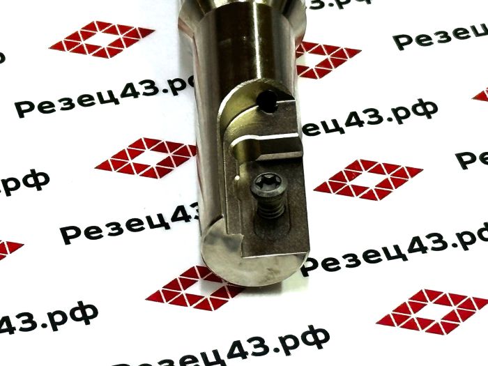 Резьбофреза концевая SR0021H21-D20-100L под сменную пластину