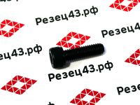 Винт М6х20 для крепления прижимов к резцам